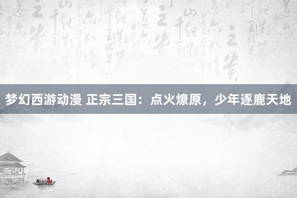 梦幻西游动漫 正宗三国：点火燎原，少年逐鹿天地